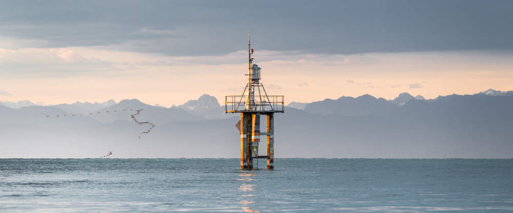 Berge hinter dem See mit Vögeln